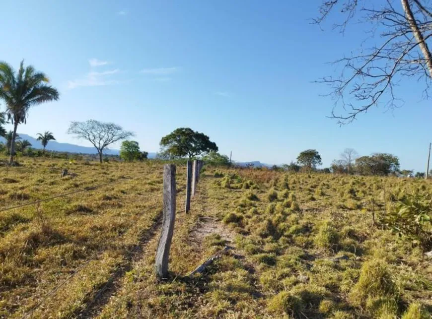 Foto 1 de Fazenda/Sítio com 3 Quartos à venda, 103m² em Zona Rural, Colinas do Sul