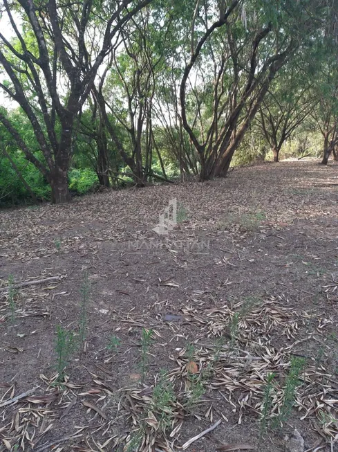 Foto 1 de Lote/Terreno à venda, 26400m² em Dois Córregos, Valinhos