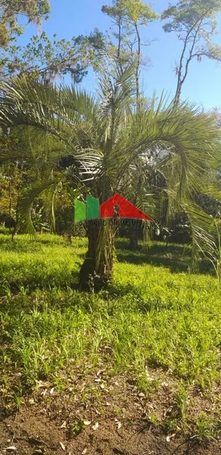 Foto 1 de Lote/Terreno à venda em Ratones, Florianópolis