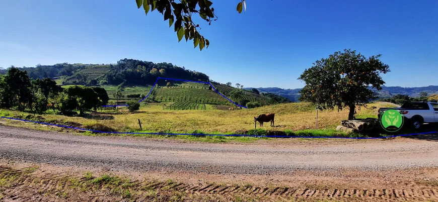 Foto 1 de Fazenda/Sítio à venda, 35000m² em Zona Rural, Santa Tereza