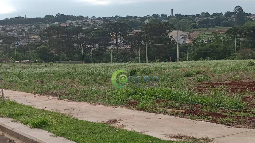 Foto 1 de Lote/Terreno à venda, 150m² em Floresta, Cascavel