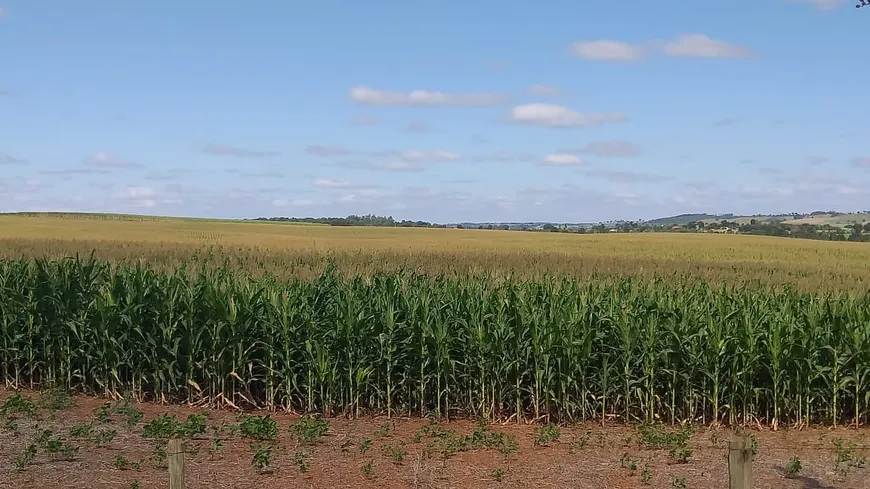 Foto 1 de Fazenda/Sítio com 2 Quartos à venda, 65m² em Zona Rural, Quadra