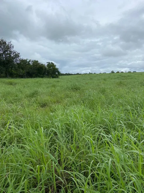 Foto 1 de Fazenda/Sítio à venda em Zona Rural, São Valério da Natividade