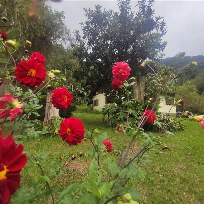 Foto 1 de Casa com 3 Quartos à venda, 2500m² em Visconde de Mauá, Resende