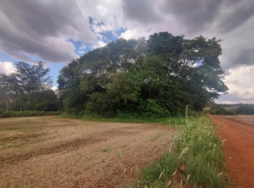 Foto 1 de Fazenda/Sítio à venda, 24200m² em Zona Rural, Paiçandu