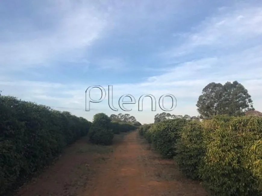 Foto 1 de com 4 Quartos à venda, 248m² em Zona Rural, Tapira