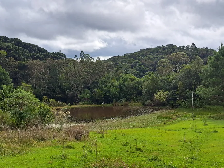 Foto 1 de Fazenda/Sítio com 3 Quartos à venda, 51346m² em , Bocaiúva do Sul