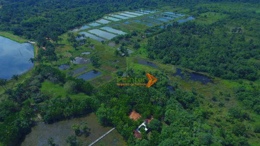 Foto 1 de Fazenda/Sítio com 3 Quartos à venda, 11530000m² em , Wanderlândia