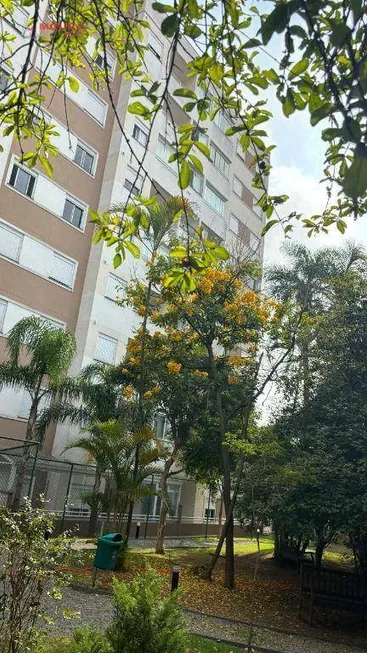 Foto 1 de Apartamento com 2 Quartos à venda, 60m² em Parque Fongaro, São Paulo