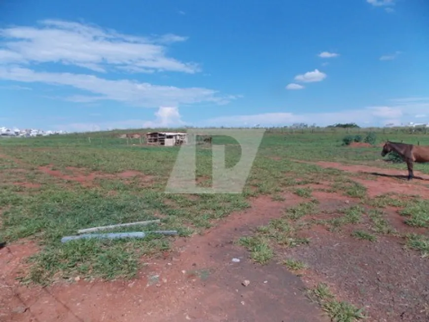 Foto 1 de Lote/Terreno à venda, 47800m² em LOTEAMENTO SANTA ROSA, Piracicaba