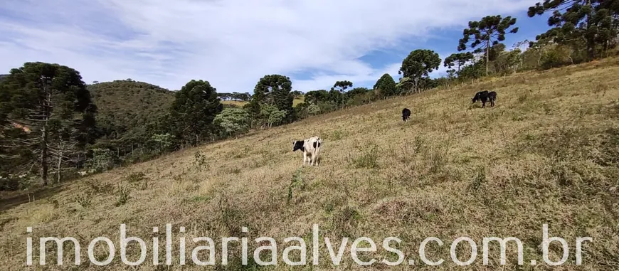 Foto 1 de Lote/Terreno à venda, 63400m² em Zona Rural, Delfim Moreira