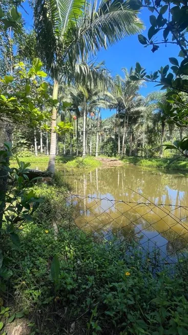 Foto 1 de Fazenda/Sítio com 4 Quartos à venda, 5000m² em João Pessoa, Jaraguá do Sul