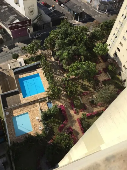 Foto 1 de Apartamento com 3 Quartos à venda, 65m² em Vila Granada, São Paulo