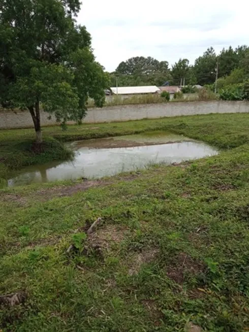 Foto 1 de Fazenda/Sítio com 2 Quartos à venda, 44000m² em Cotia, São José dos Pinhais