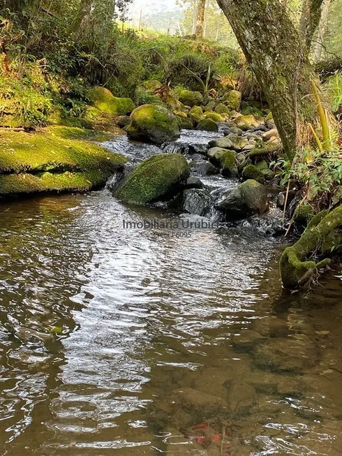 Foto 1 de Lote/Terreno à venda, 40000m² em Zona Rural, Urubici