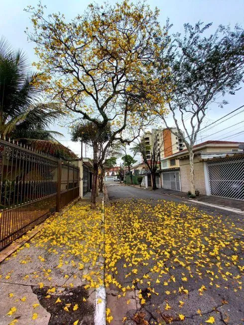 Foto 1 de Sobrado com 4 Quartos à venda, 230m² em Parque Mandaqui, São Paulo