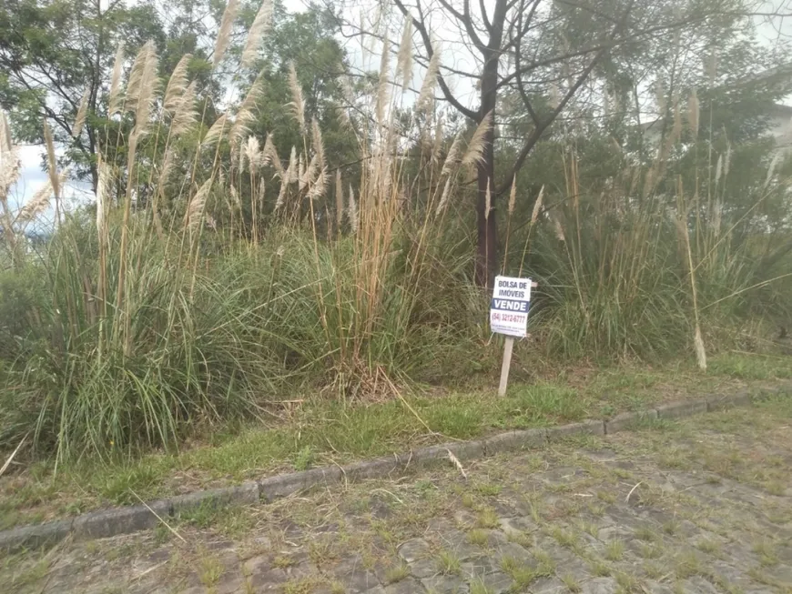 Foto 1 de Lote/Terreno à venda, 564m² em São Luiz, Caxias do Sul