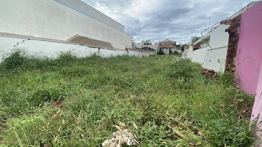 Foto 1 de Lote/Terreno para alugar, 600m² em Chácara Braz Miraglia , Jaú