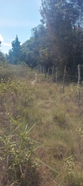 Foto 1 de Lote/Terreno à venda, 84000m² em Zona Rural, Mata de São João