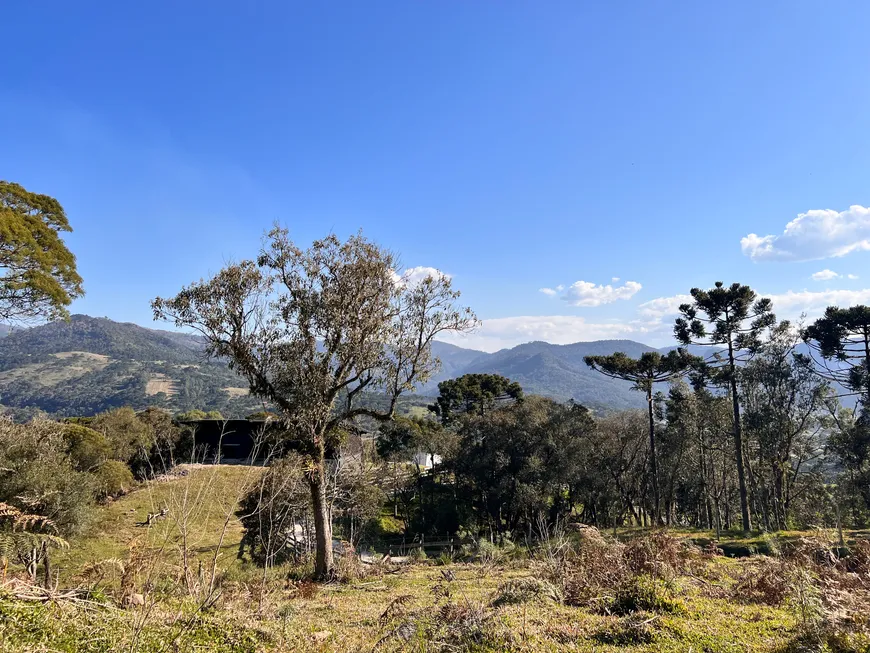 Foto 1 de Lote/Terreno com 1 Quarto à venda, 20000m² em Santa Tereza, Urubici