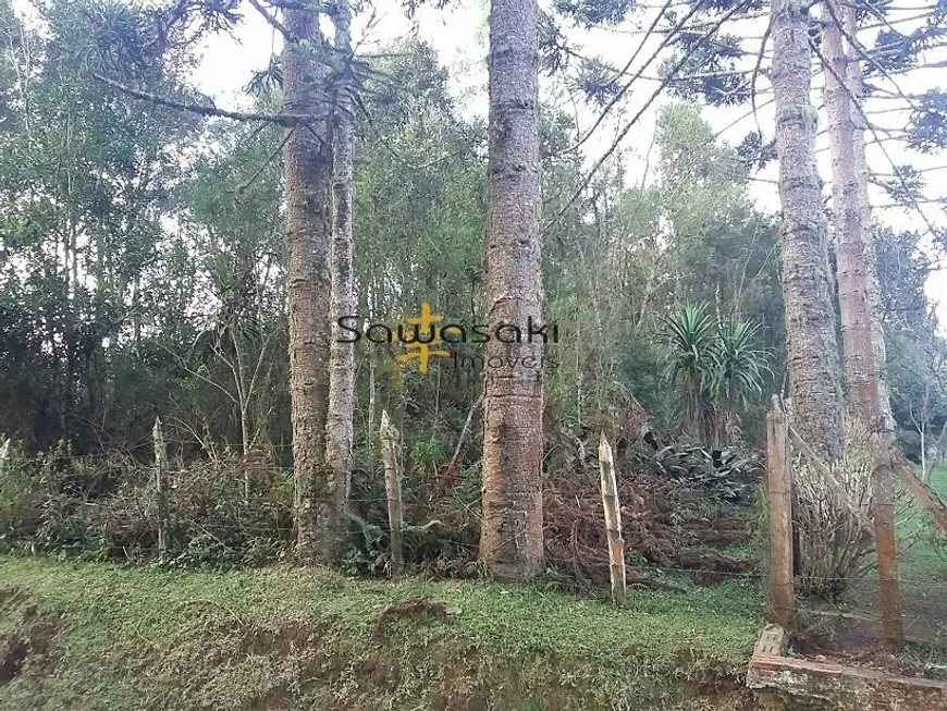 Foto 1 de Lote/Terreno à venda, 2395m² em , São José dos Pinhais