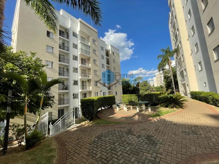 Foto 1 de Apartamento com 2 Quartos para alugar, 49m² em Jardim Myrian Moreira da Costa, Campinas