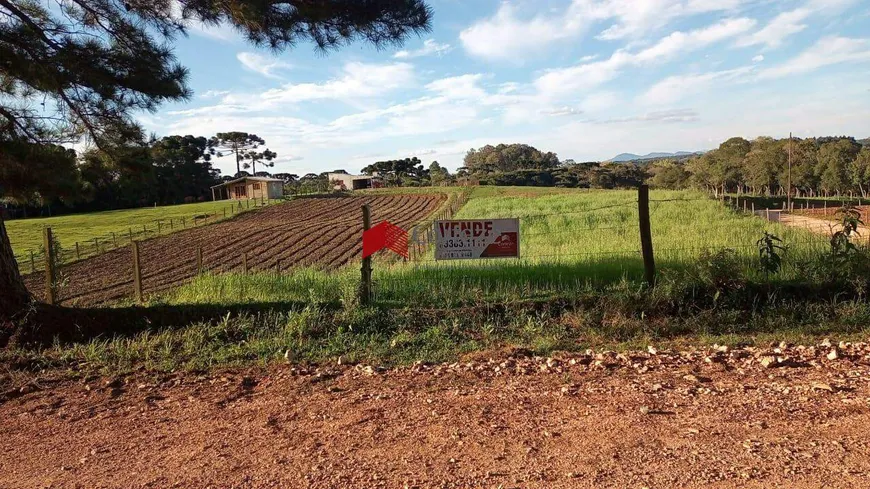 Foto 1 de Fazenda/Sítio à venda, 10000m² em Colônia Murici, São José dos Pinhais