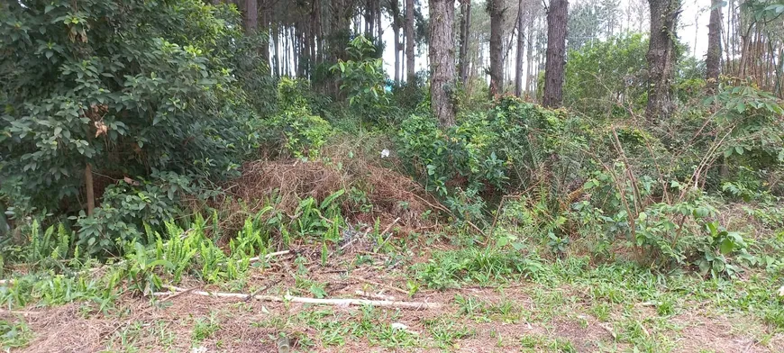 Foto 1 de Lote/Terreno à venda, 265m² em Ambrósio, Garopaba