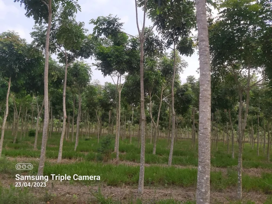 Foto 1 de Fazenda/Sítio à venda, 363000m² em Area Rural de Paraisolandia, Charqueada