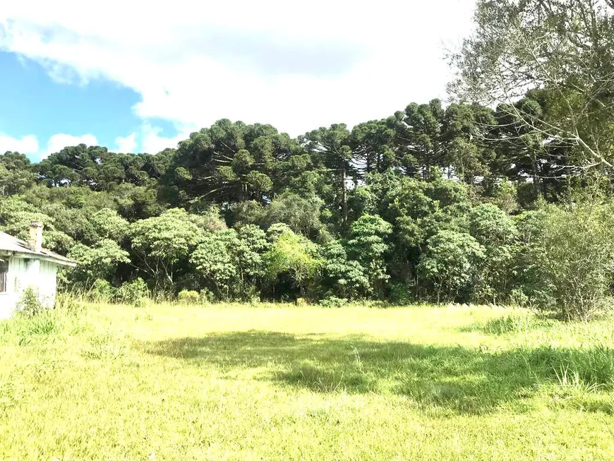 Foto 1 de Lote/Terreno com 1 Quarto à venda, 21014m² em Rodeio Santo Antônio, Balsa Nova