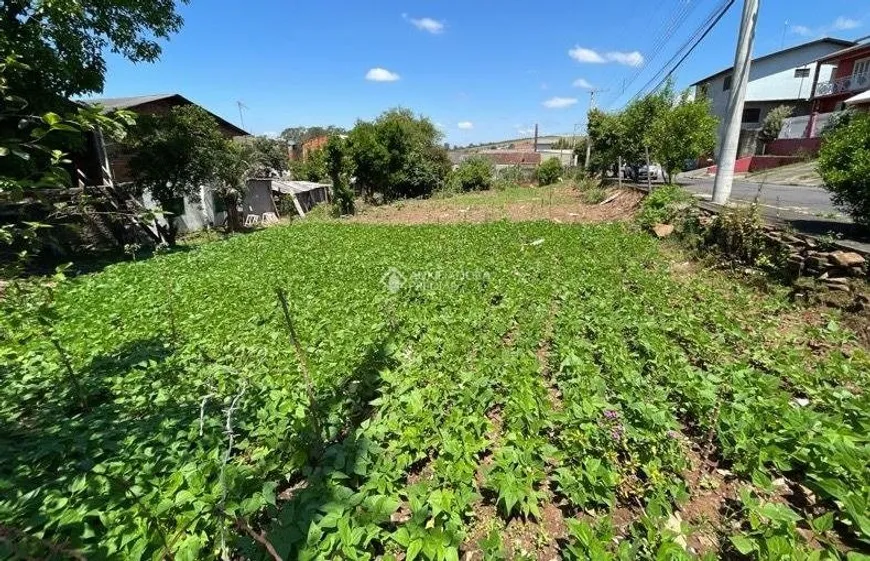 Foto 1 de Lote/Terreno à venda, 770m² em Boa Saúde, Novo Hamburgo