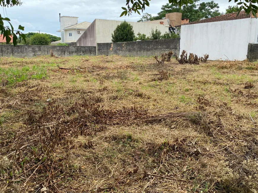 Foto 1 de Lote/Terreno à venda, 1000m² em Campeche, Florianópolis