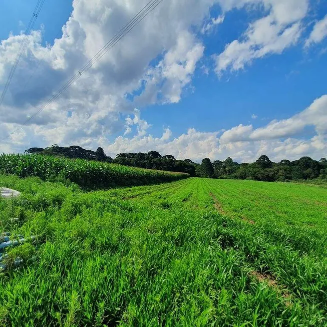 Foto 1 de Lote/Terreno à venda, 10m² em Campo Largo da Roseira, São José dos Pinhais