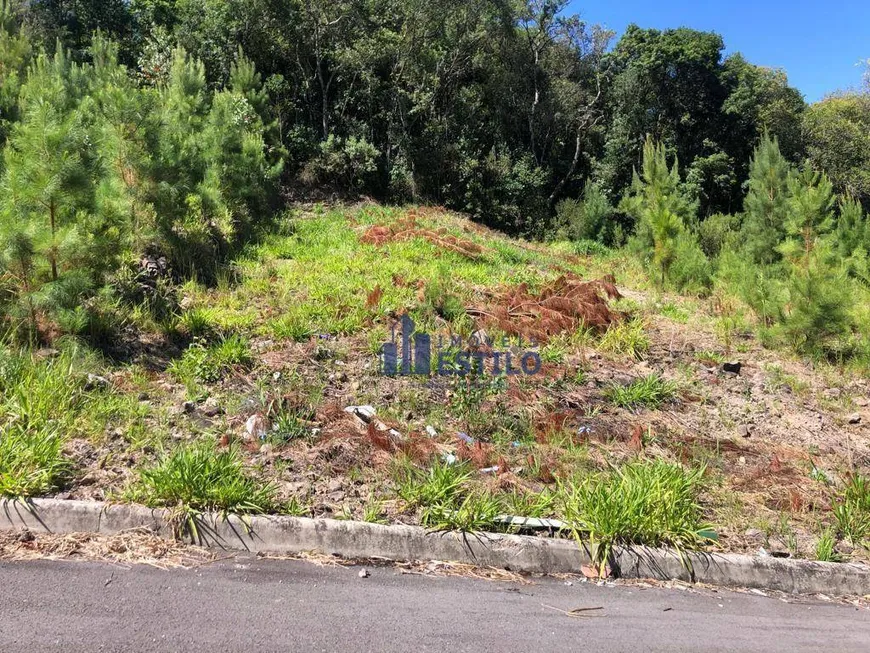 Foto 1 de Lote/Terreno à venda, 339m² em Desvio Rizzo, Caxias do Sul