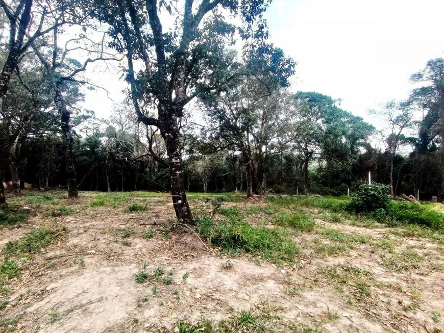 Foto 1 de Lote/Terreno à venda, 1600m² em Apotribu de Cima, Itu