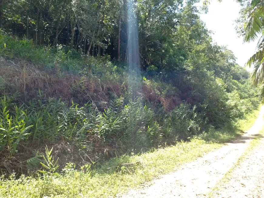 Foto 1 de Fazenda/Sítio à venda, 20000m² em Rio Sagrado, Morretes