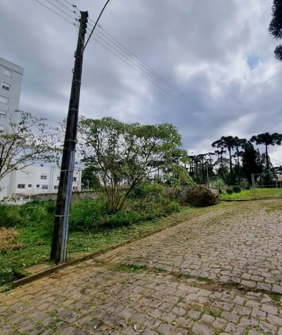 Foto 1 de Lote/Terreno à venda, 360m² em Nossa Senhora da Saúde, Caxias do Sul