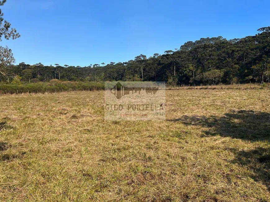 Foto 1 de Fazenda/Sítio à venda, 20000m² em Centro, São Joaquim