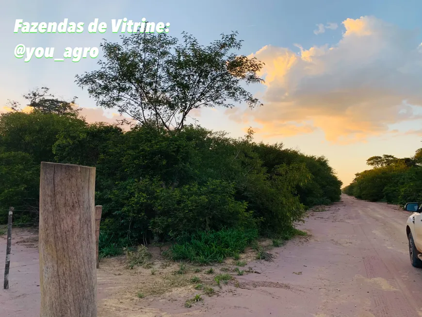 Foto 1 de Fazenda/Sítio à venda, 156500000m² em Centro, Alvorada do Gurguéia