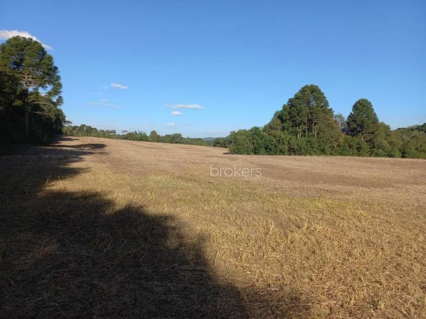 Foto 1 de Fazenda/Sítio com 5 Quartos à venda, 670m² em Centro, Antônio Olinto