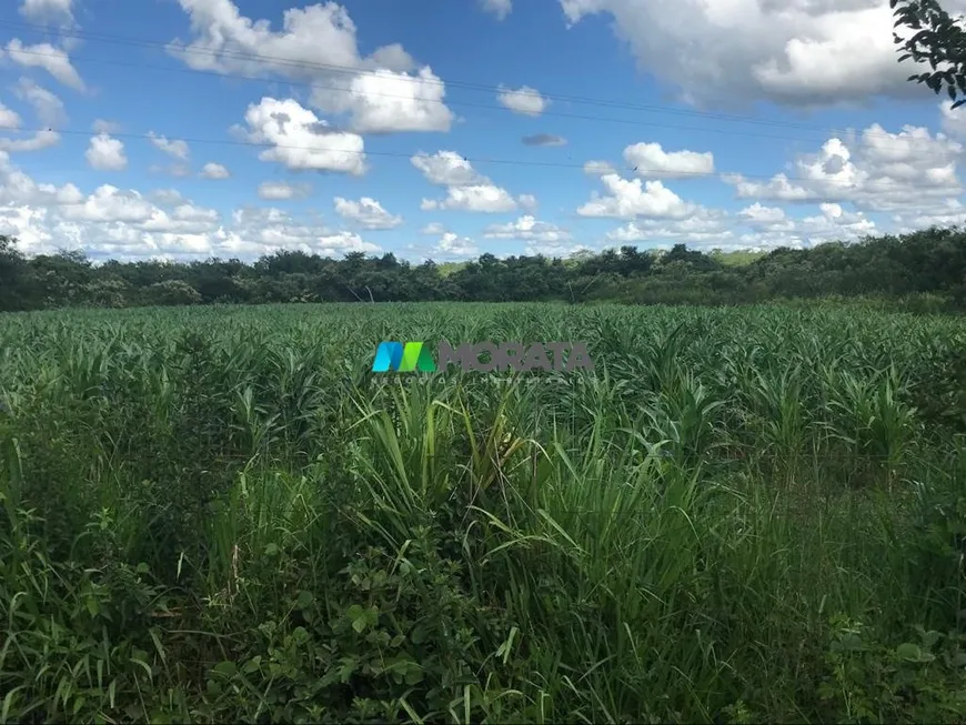 Foto 1 de Fazenda/Sítio com 1 Quarto à venda, 586m² em Rural, Curvelo