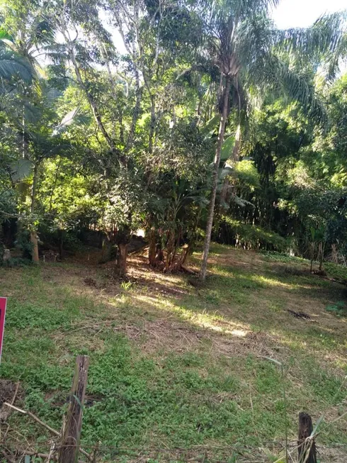 Foto 1 de Lote/Terreno à venda, 800m² em Rasa, Ponte Nova