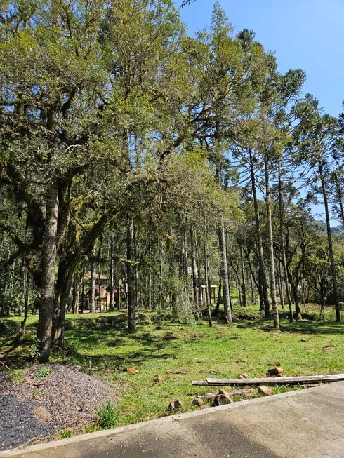 Foto 1 de Lote/Terreno com 1 Quarto à venda, 20000m² em , Urubici