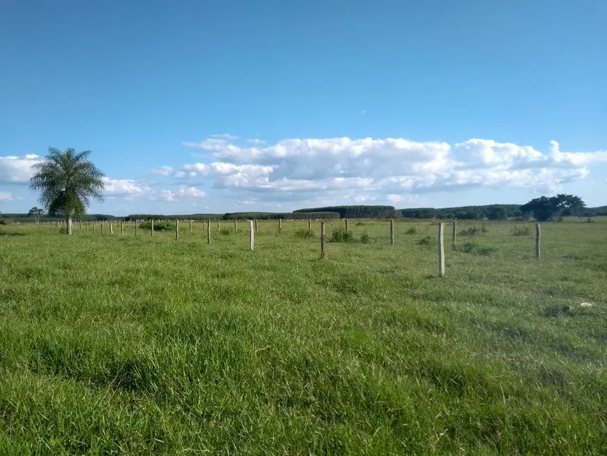 Foto 1 de Fazenda/Sítio à venda, 1355200m² em Centro, Porto Rico