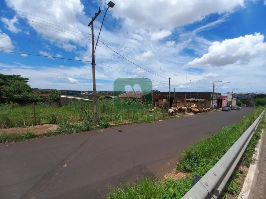 Foto 1 de Lote/Terreno com 1 Quarto para alugar, 369m² em Dona Zulmira, Uberlândia