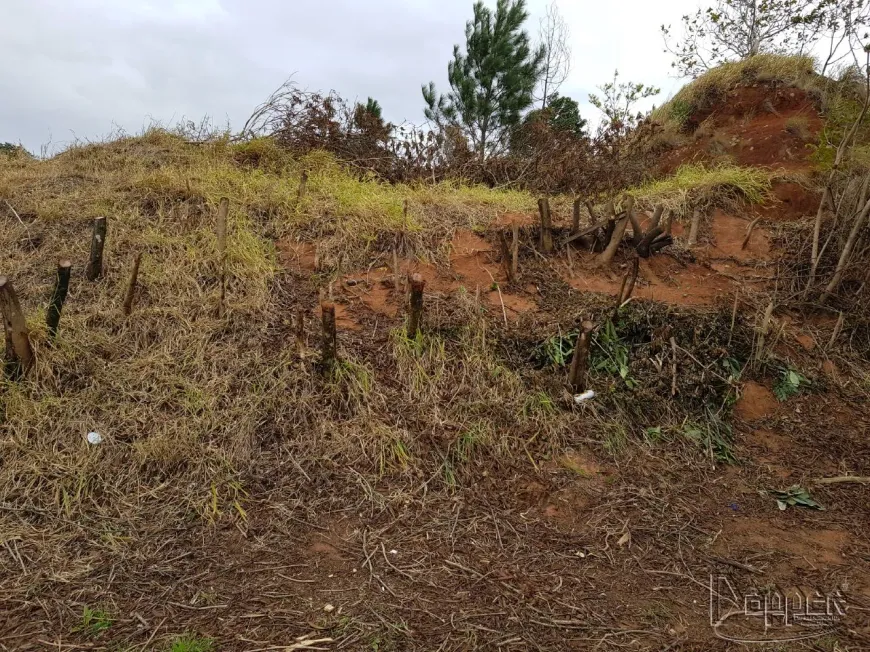 Foto 1 de Lote/Terreno à venda em Imigrante, Campo Bom