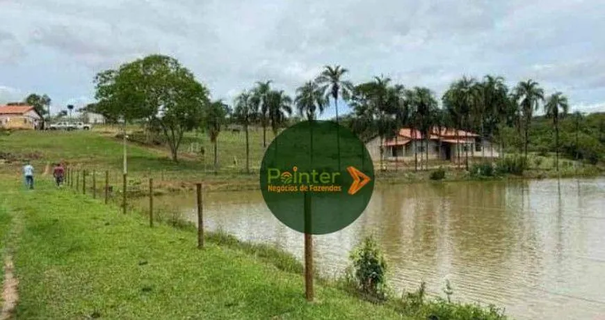 Foto 1 de Fazenda/Sítio com 2 Quartos à venda, 653400m² em Zona Rural, Ipameri