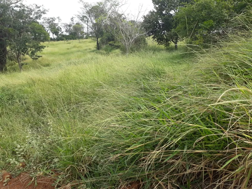 Foto 1 de Lote/Terreno à venda, 20000m² em Zona Rural, Jequitibá