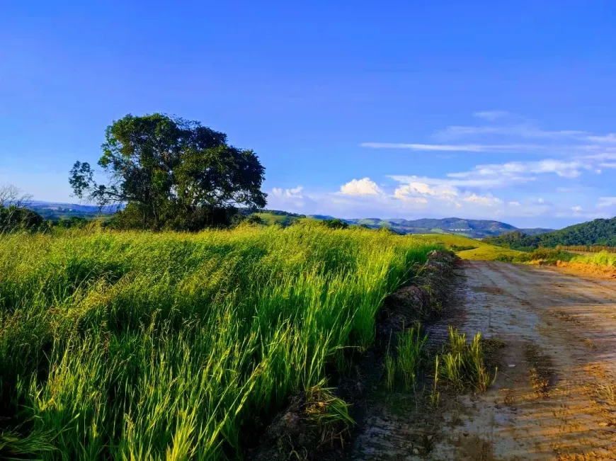 Foto 1 de Lote/Terreno à venda, 500m² em Mato Dentro do Lajeado, Atibaia