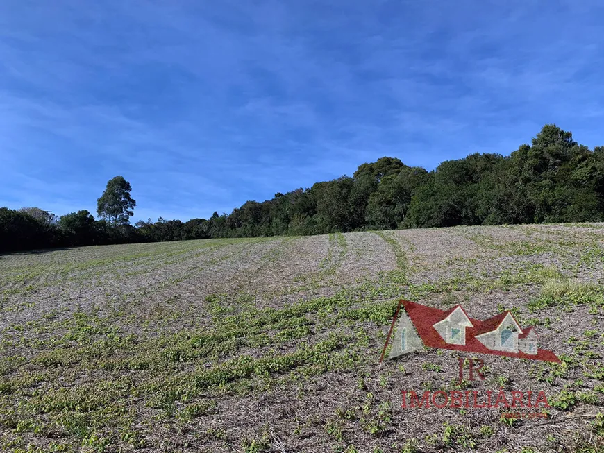 Foto 1 de Fazenda/Sítio com 1 Quarto à venda, 36500m² em Zona Rural, Fazenda Rio Grande